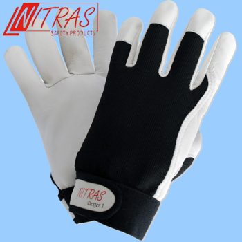 NITRAS-Dexter 1 8905