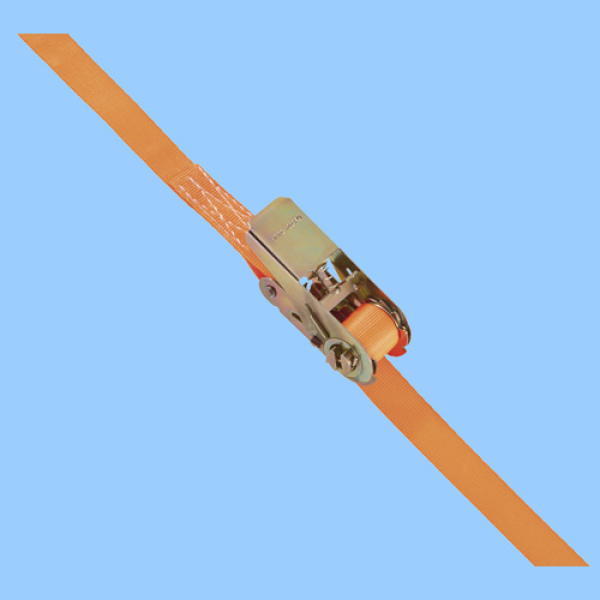Zurrgurt 84502/4M