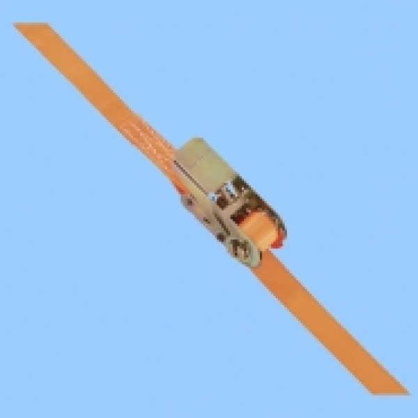 RATSCHEN-ZURRGURT, 1-TEILIG 2 Meter