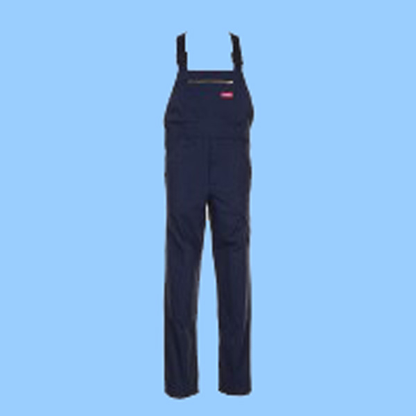 Cargo-Latzhose 0172