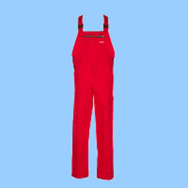 Cargo-Latzhose 0173